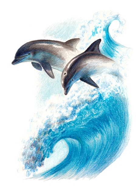 Dibujo a color: dos delfines en una ola. Lapices acuarelables