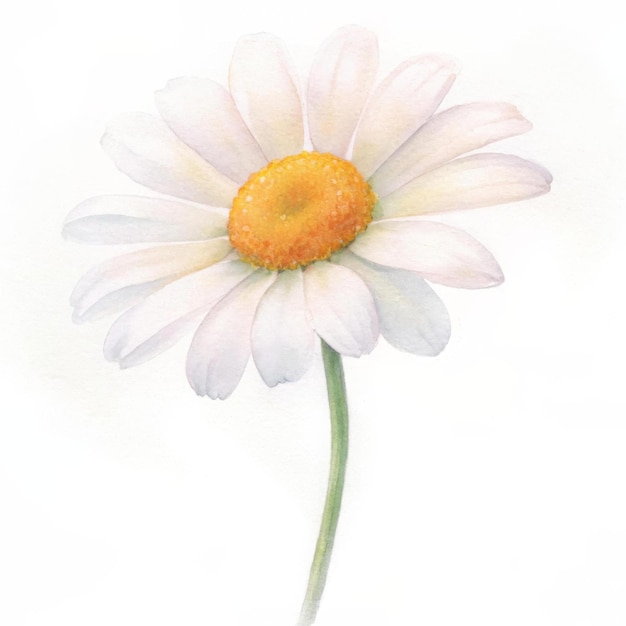 un dibujo de una flor con el centro amarillo
