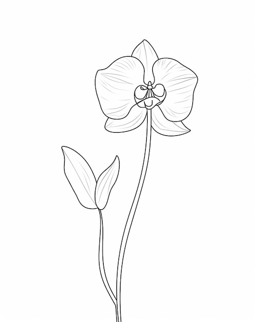 un dibujo de una flor con tallo y hojas ai generativo
