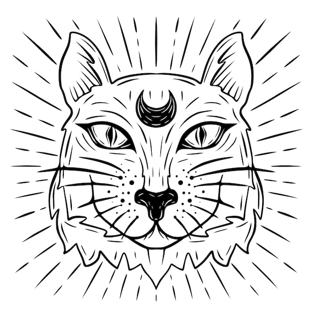 un dibujo de un gato celestial brillante