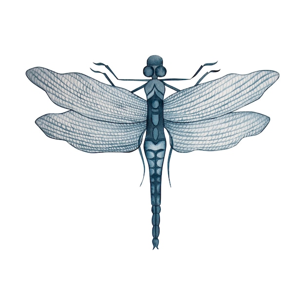un dibujo de una libélula con un cuerpo azul y alas