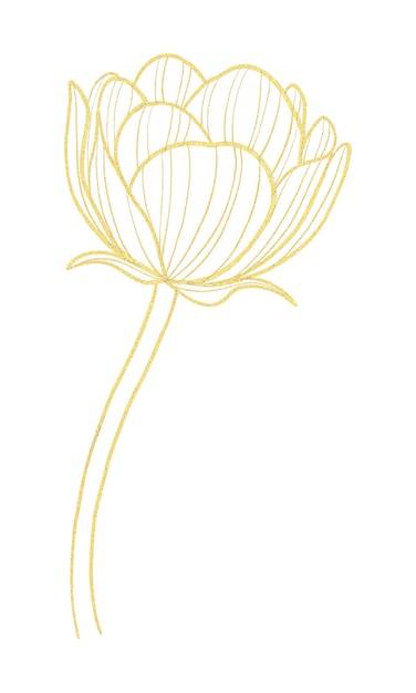 Dibujo de la línea del tulipán dorado Ilustración floral elegante