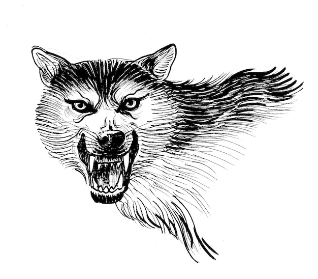 Un dibujo de un lobo con un contorno negro.