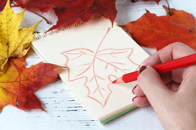 Dibujo a mano con bolígrafo y cuaderno de dibujo rodeado de hojas de arce