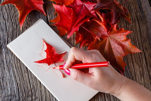 Dibujo a mano con bolígrafo y cuaderno