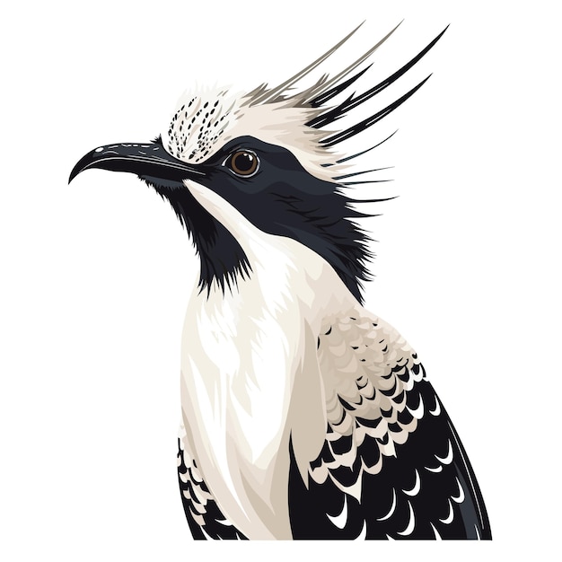 Un dibujo de un pájaro con un fondo blanco que tiene una cabeza negra y blanca.