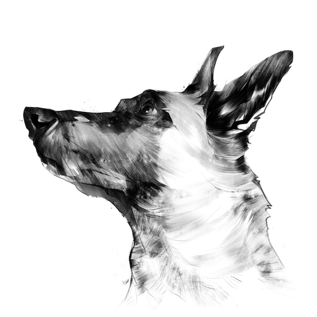 Foto un dibujo de un perro con nariz negra y fondo blanco.