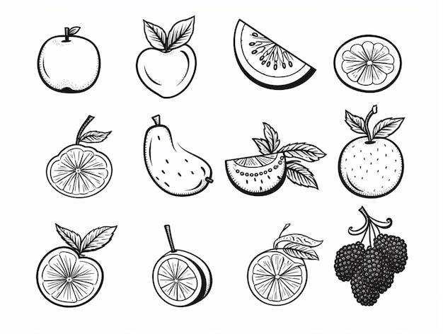 un dibujo de una variedad de frutas y verduras en un fondo blanco