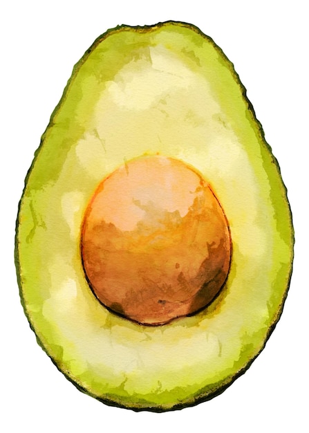 Dibujos de frutas png clipart de aguacate sobre un fondo transparente