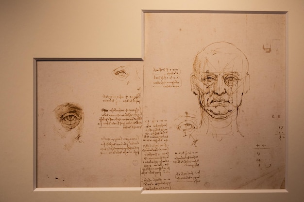 Foto dibujos de leonardo da vinci sobre fondo vintage de papel de algodón hecho a mano