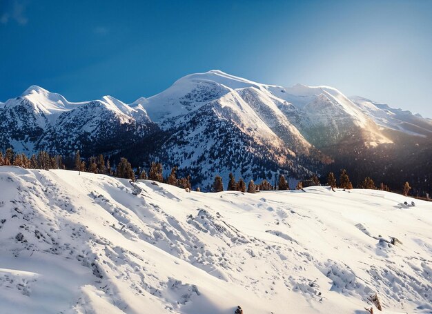 La dicha de un día de invierno La belleza de la montaña iluminada por el sol