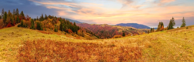 Dichter Nebel bedeckte den Talwald Majestätische Herbstlandschaft Birke mit orangefarbenen Blättern und goldenem Gras Lage Ort Karpaten-Nationalpark Ukraine Europa