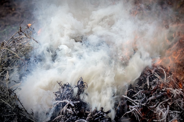 Dichter weißer und grauer Rauch vom Feuer