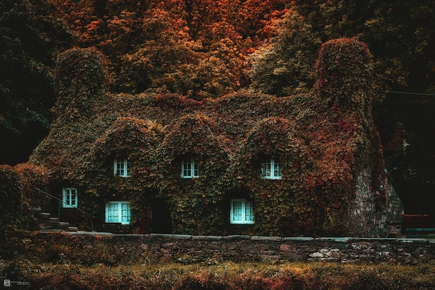 dichtes Dach Landhaus Herbst saisonal