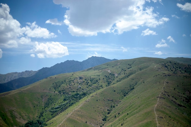 Dicke Wolken über Bergwiesen