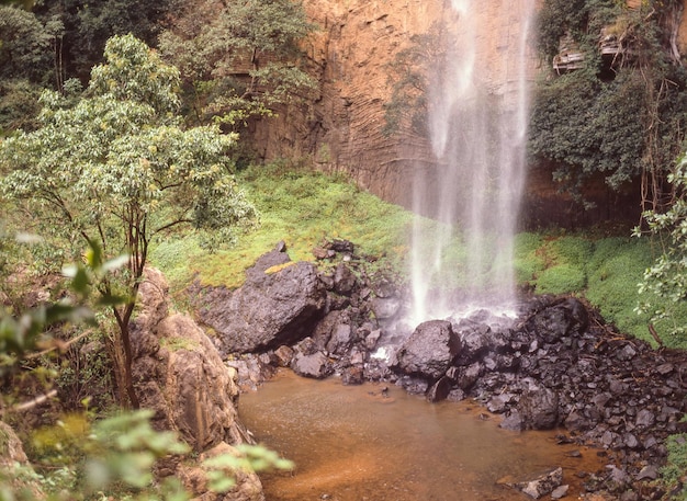 Die 70 Meter hohen Bridal Veil Falls liegen sechs Kilometer außerhalb von Sabie Mpumalanga in Südafrika. Unter normalen Bedingungen fließen sie langsam und wirken daher wie ein Schleier