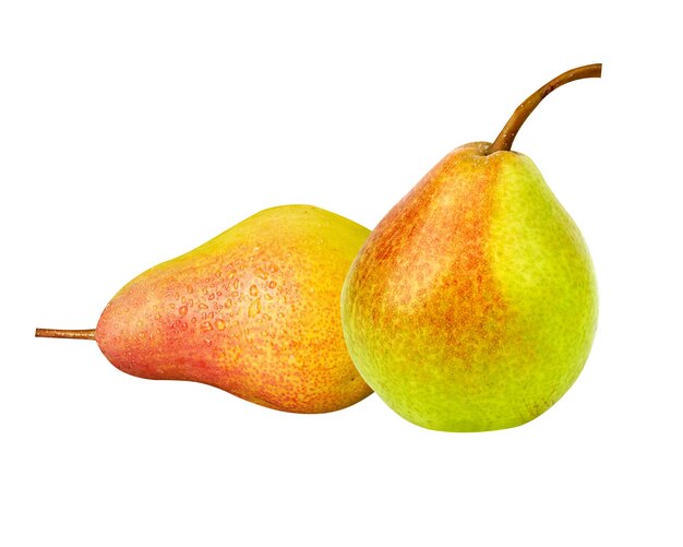 Die Abate Fetel Pyrus communis oder Abb Fetel ist eine Sorte der europäischen Birne