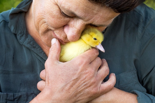 Die ältere Frau hat eine kleine gelbe Ente ins Gesicht gebracht. Liebe zu Tieren