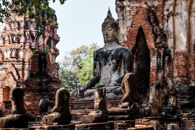 Die alte Buddha-Statue wurde während des Warno-Kopfes in der thailändischen Provinz Ayutthaya zerstört