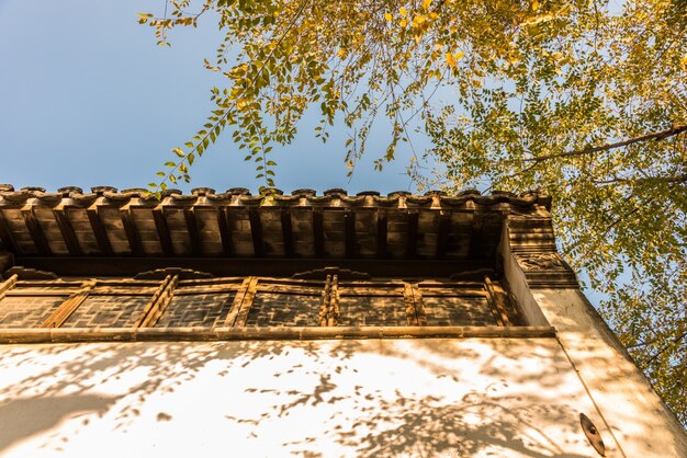 Die alte Huizhou Architektur und gelbe Blätter des Herbstes.