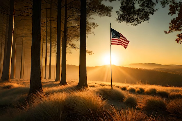 Die amerikanische Flagge auf einem Feld, während die Sonne durch die Bäume scheint