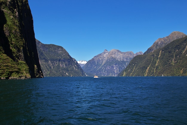 Die Ansicht über Milford Sound Fjord, Neuseeland