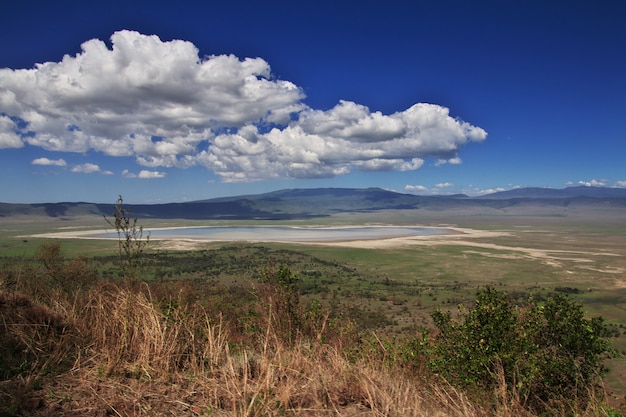 Die Ansicht über Nationalpark Ngorongoro, Tansania
