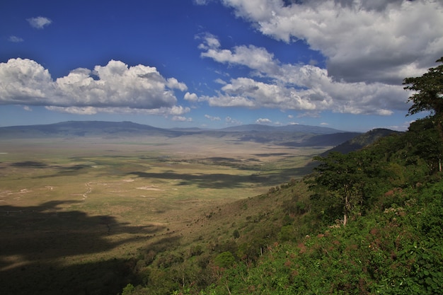 Die Ansicht über Nationalpark Ngorongoro, Tansania