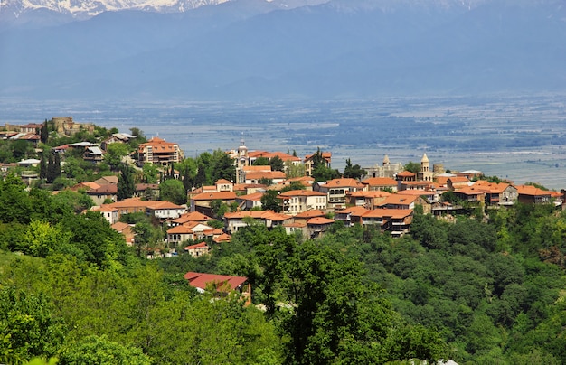 Die Ansicht über Signagi und Alazani-Tal, Georgia