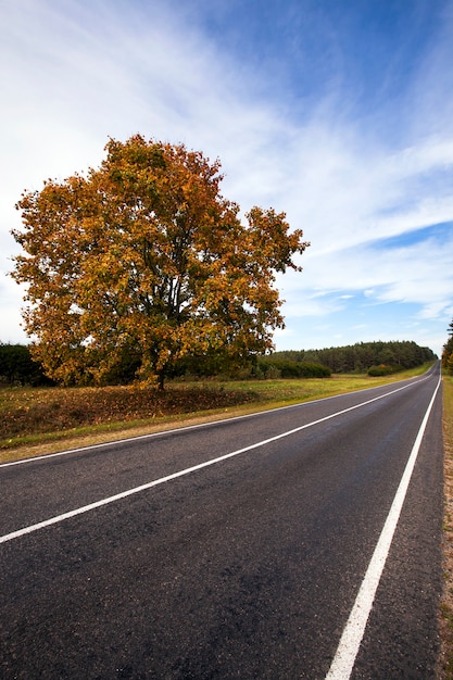 Die asphaltierte Straße zu einer Herbstsaison.