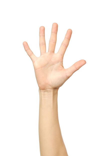 Die ausgestreckte Hand einer Frau mit offener Handfläche ist isoliert auf Weiß