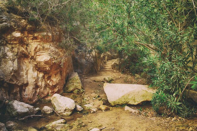 Foto die avakas-schlucht