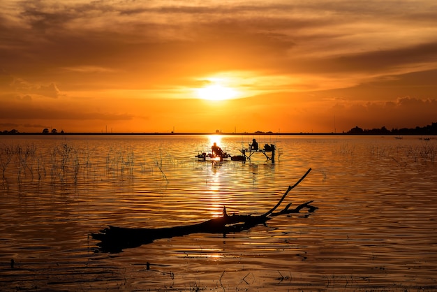 Die Bäume silhouettieren am See