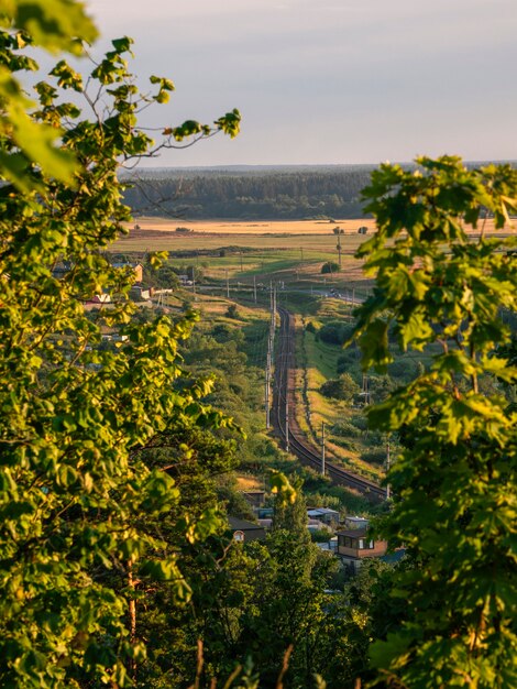 Die Bahn biegt in der Ferne ab. Die Bahn hat einen weichen Fokus von Feld und Wald.