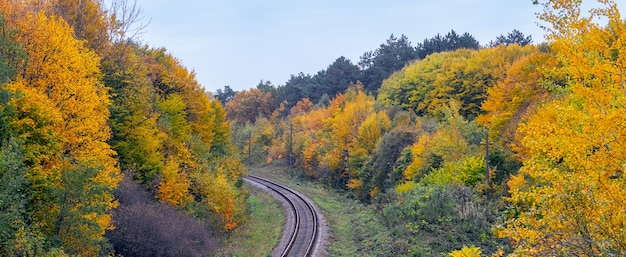 Die Bahn fährt durch den herbstlichen Wald mit bunten Bäumen