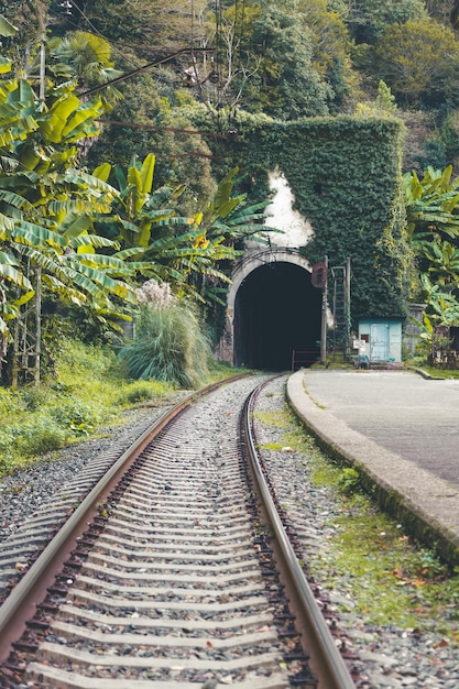 Die Bahn fährt in den Tunnel