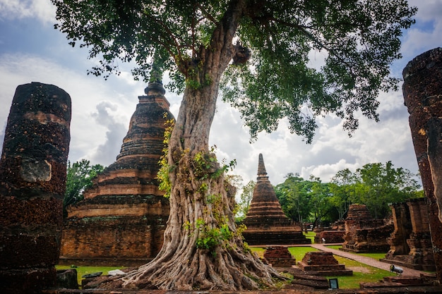 Die Basis des Chedi ist umgeben von den Statuen von 24 Elefanten im Sukhotai-Nationalpark