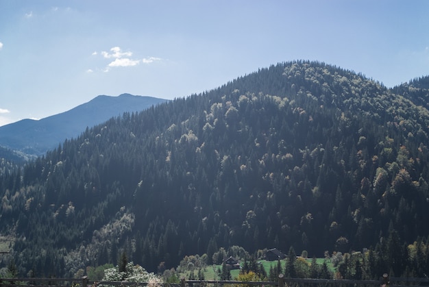 Die Berge an einem sonnigen Tag mit Wolken und Nadelwald.