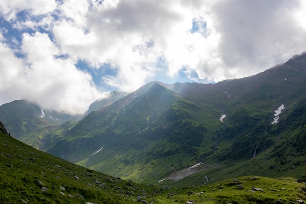 Die Berge mit Tannen schneiden sich mit dem Himmel. Transfagarasan