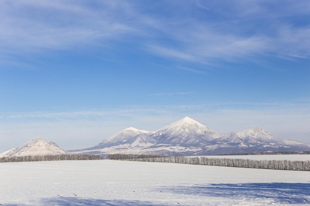 Die Berge sind mit Schnee bedeckt. Winterlandschaft