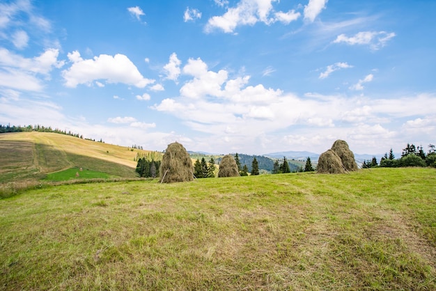 Die Berge sind mit Wäldern und Wiesen auf dem Berg bedeckt