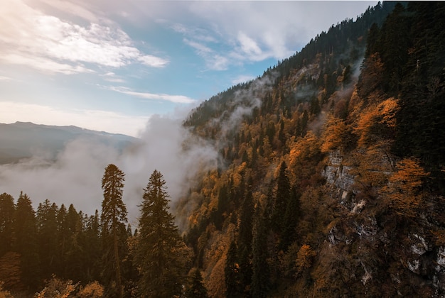 Die Bergherbstlandschaft mit buntem Wald und hohen Gipfeln Kaukasus