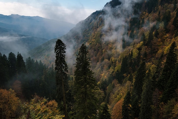 Die Bergherbstlandschaft mit buntem Wald und hohen Gipfeln Kaukasus