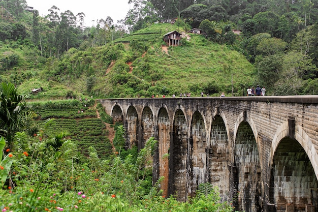 Die berühmte Neunbogenbrücke der Eisenbahn im Dschungel in Sri Lanka