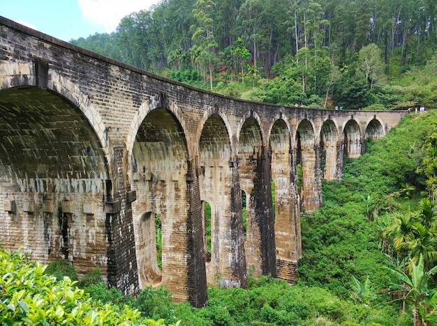 Die berühmte Neunbogenbrücke der Eisenbahn im Dschungel in Sri Lanka