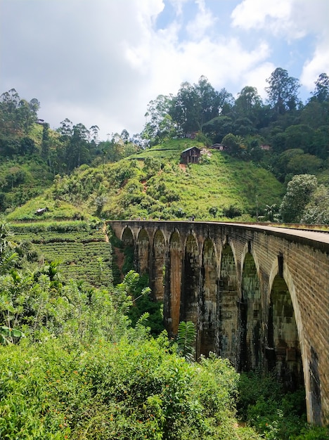 Die berühmte Neunbogenbrücke der Eisenbahn im Dschungel in Sri Lanka
