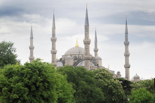 Die Blaue Moschee in Istanbul Türkei