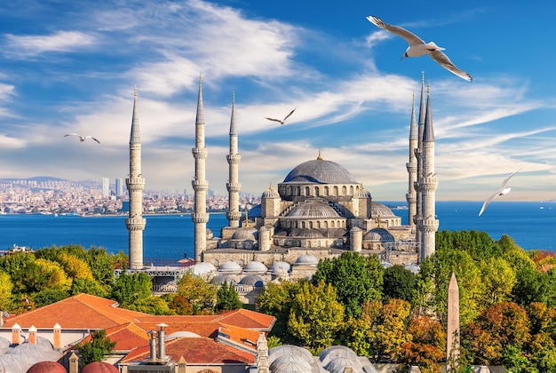 Die Blaue Moschee von Istanbul Sultan-Ahmet-Moschee schöne Aussicht