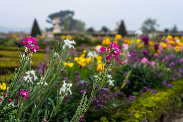 Die Blumen im Schloss von Versailles