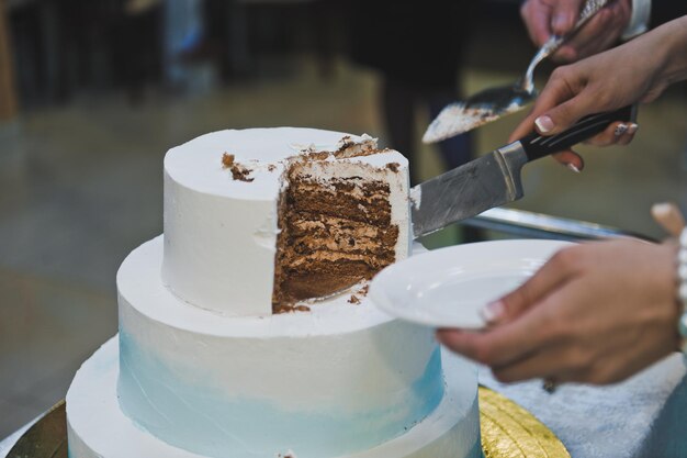 Die Braut teilt einen süßen Kuchen in Stücke 8814